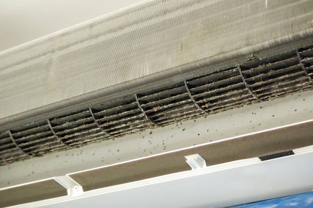 Best Ductwork Cleaning Services  in West Grove, PA